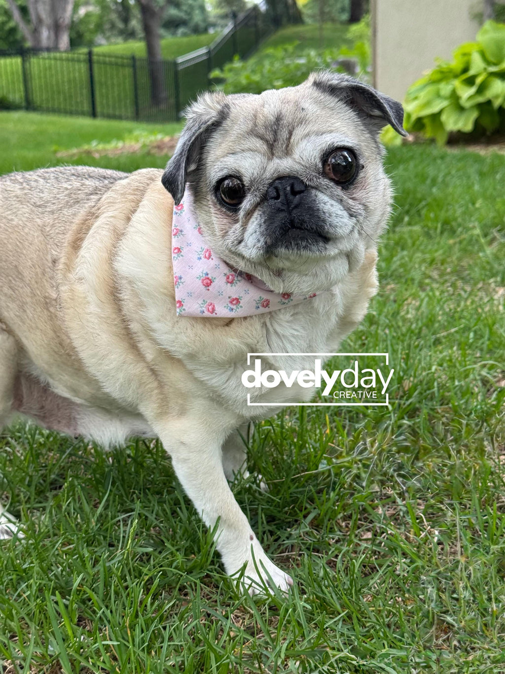 Reversible Bandana for Dog Pet accessory Sewing Pattern scarf for animal lovers easy craft pet bandana scrunchie scarf bandana for pet