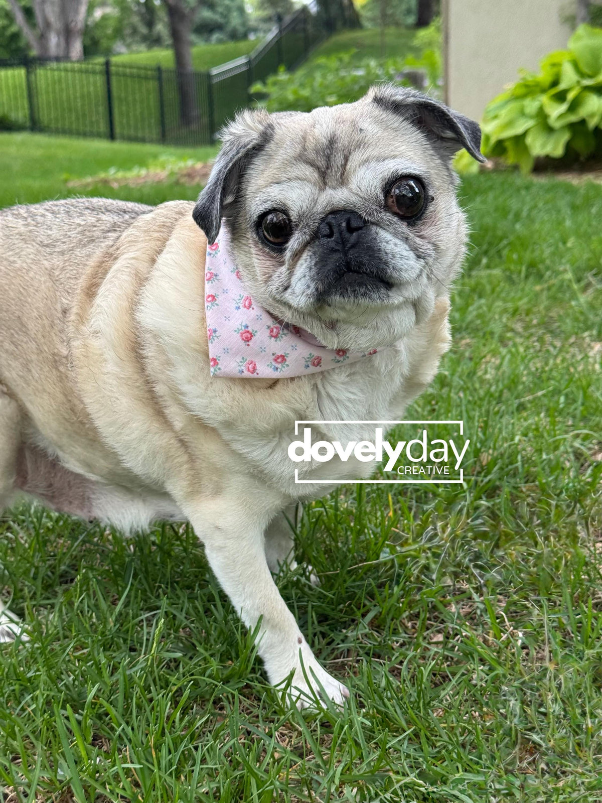 Reversible Bandana for Dog Pet accessory Sewing Pattern scarf for animal lovers easy craft pet bandana scrunchie scarf bandana for pet