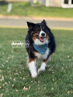 Reversible Bandana for Dog Pet accessory Sewing Pattern scarf for animal lovers easy craft pet bandana scrunchie scarf bandana for pet