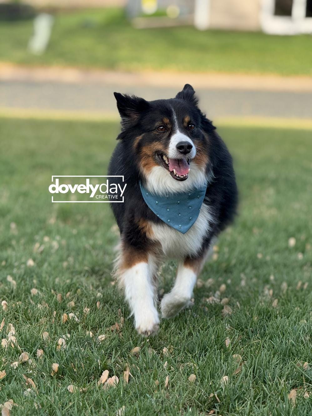 Reversible Bandana for Dog Pet accessory Sewing Pattern scarf for animal lovers easy craft pet bandana scrunchie scarf bandana for pet
